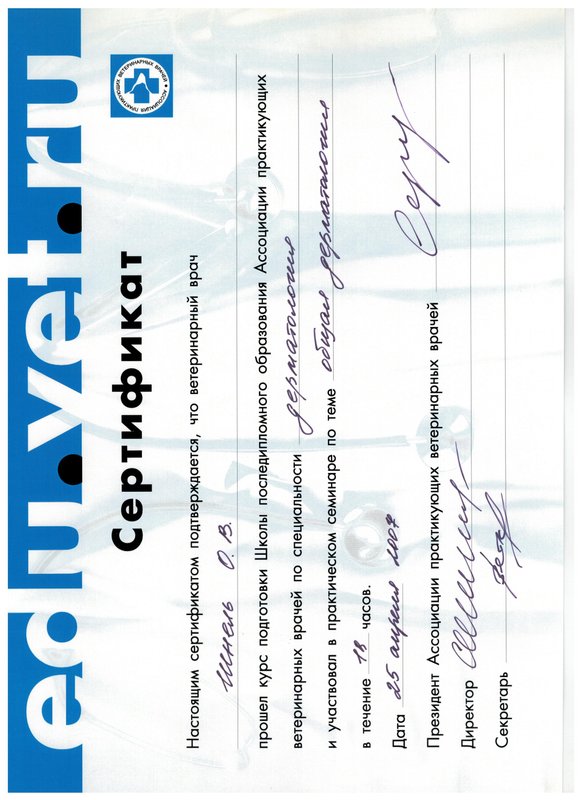 Документ или сертификат