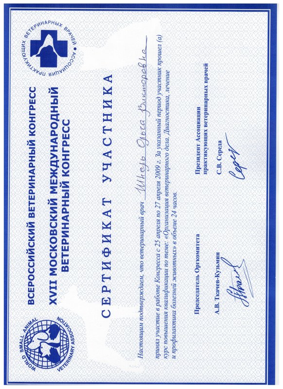 Документ или сертификат