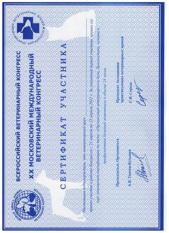 Документ или сертификат