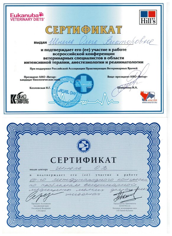 Документ или сертификат