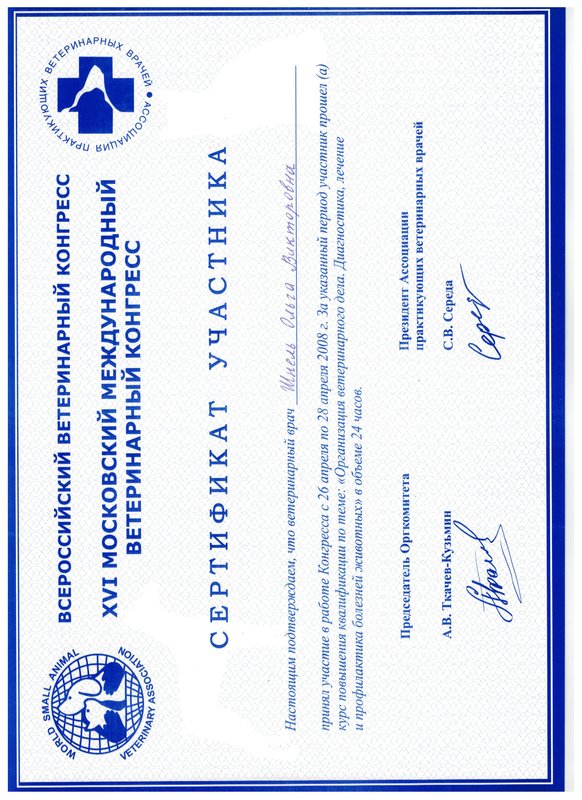 Документ или сертификат