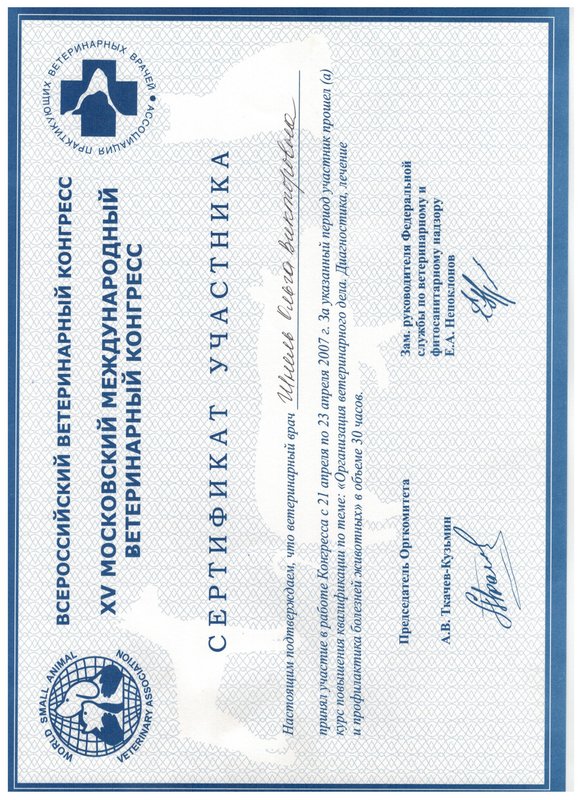 Документ или сертификат