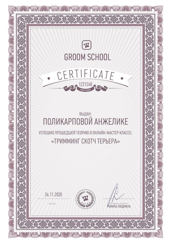 Документ или сертификат