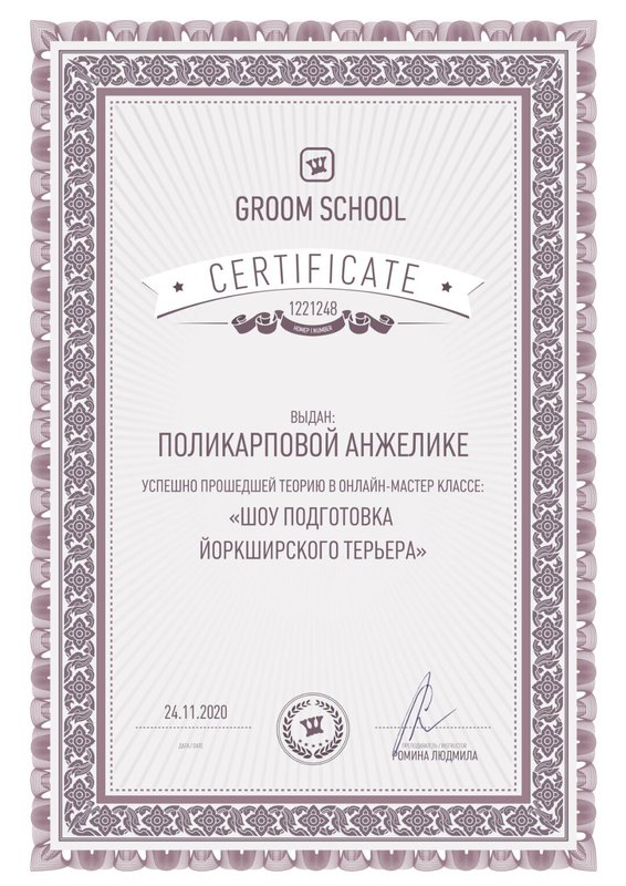 Документ или сертификат