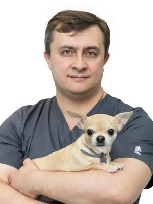 Фото врача Шаловинский Дмитрий Юрьевич
