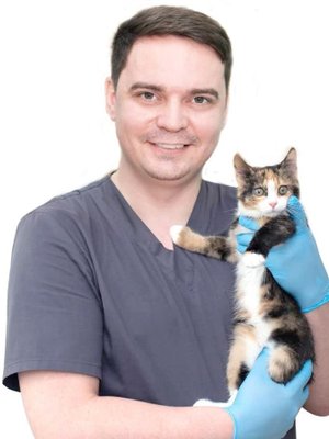 Фото врача Дорохов Виктор Викторович