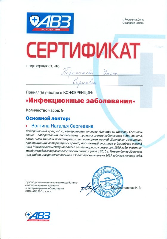Документ или сертификат