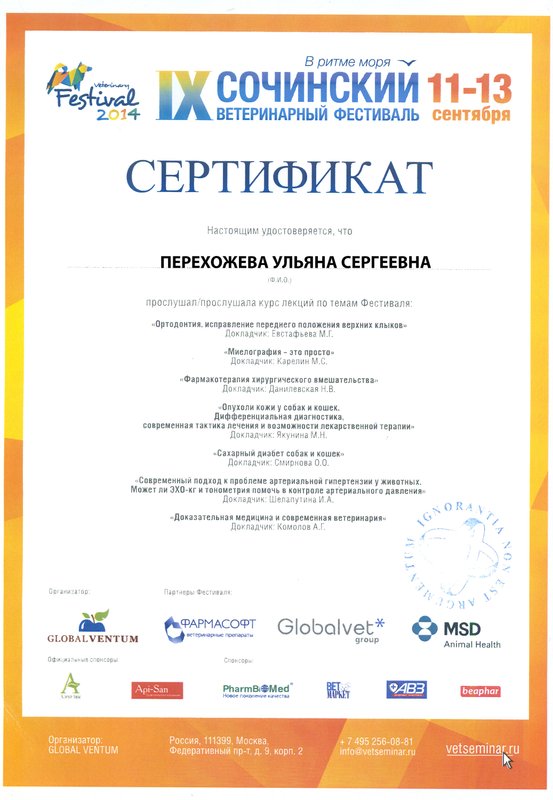 Документ или сертификат