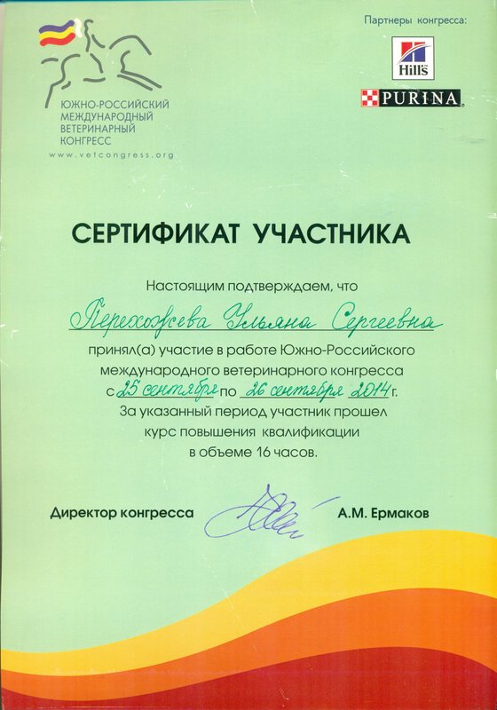 Документ или сертификат