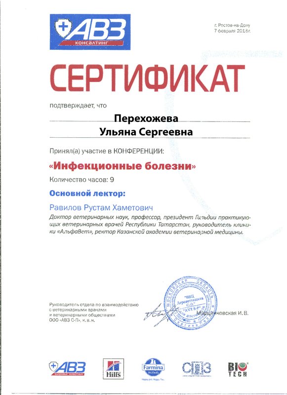 Документ или сертификат