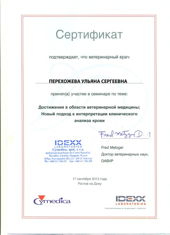 Документ или сертификат