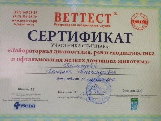 Документ или сертификат