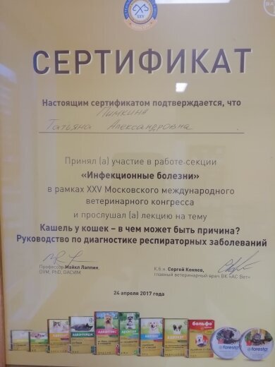 Документ или сертификат