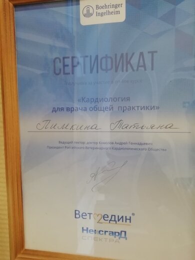 Документ или сертификат