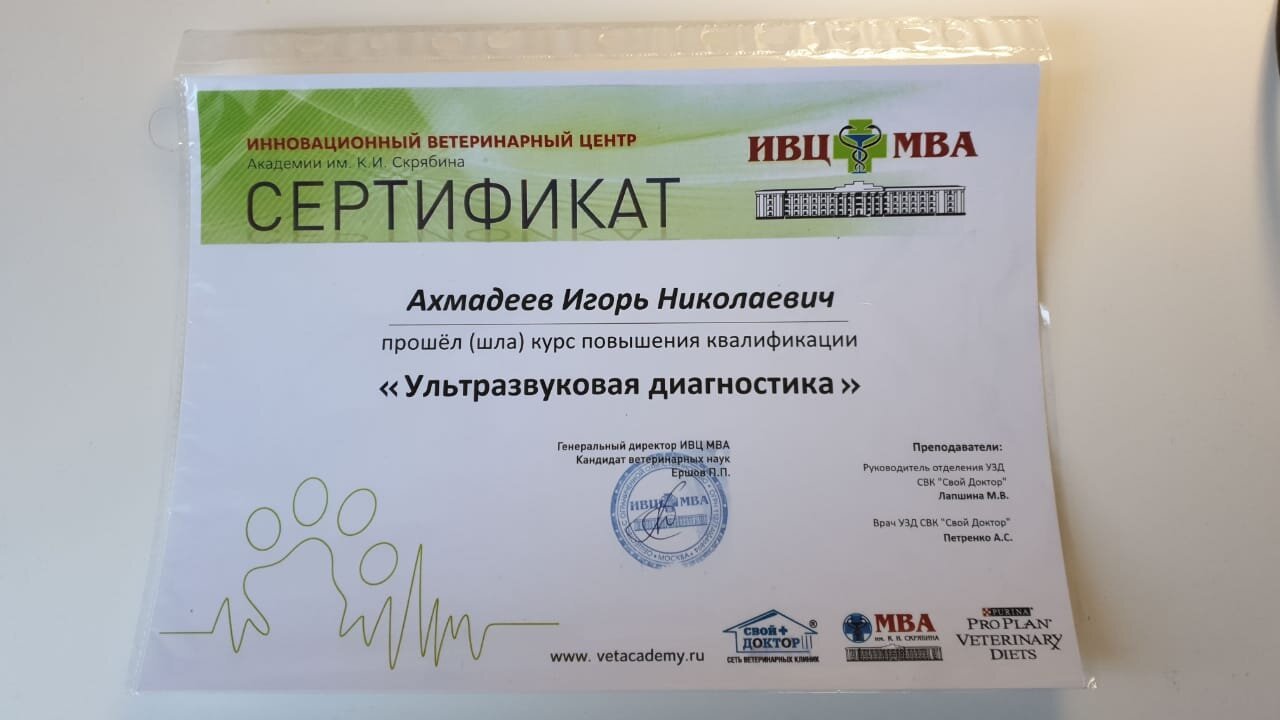 Документ или сертификат