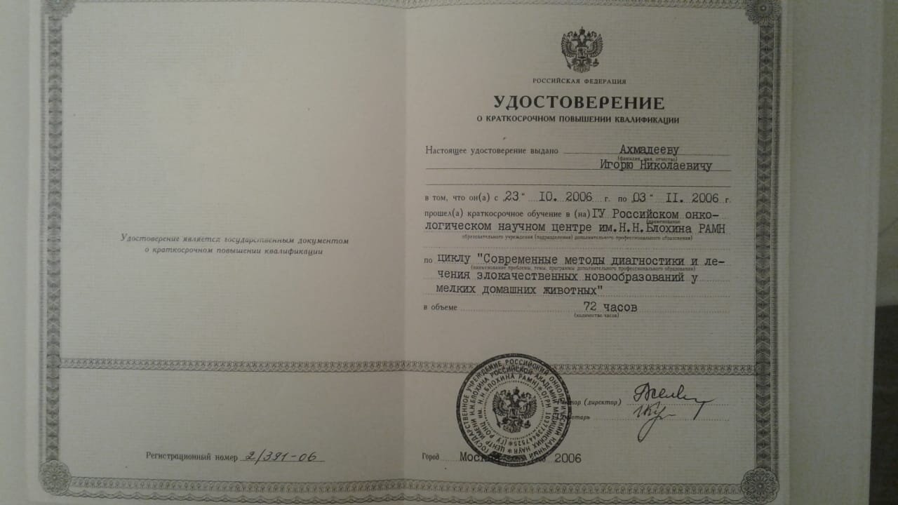 Документ или сертификат