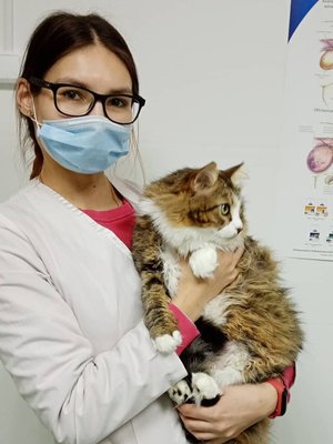 Фото врача Пугачева Валерия Сергеевна