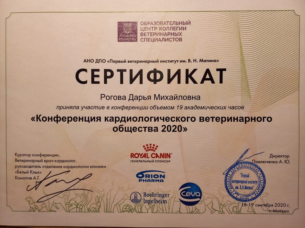 Документ или сертификат