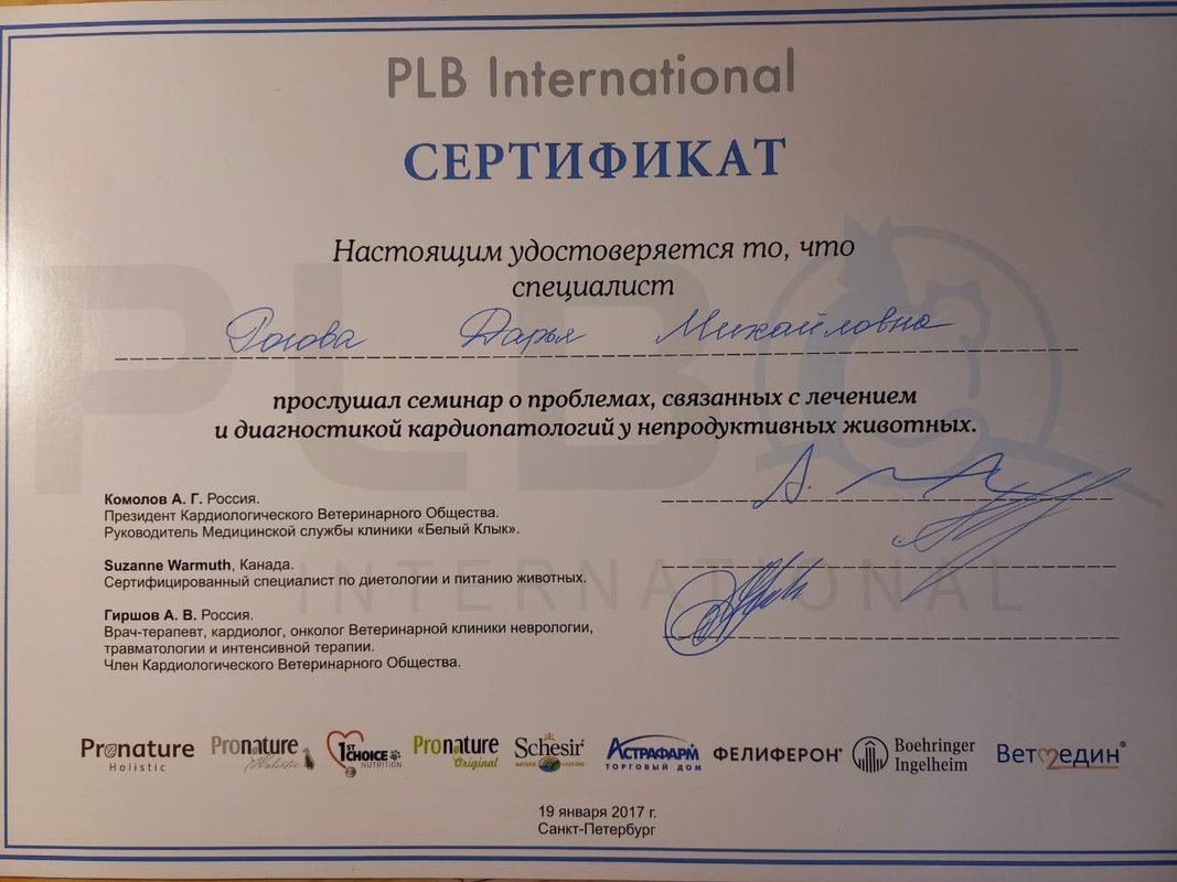 Документ или сертификат