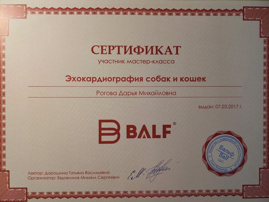 Документ или сертификат