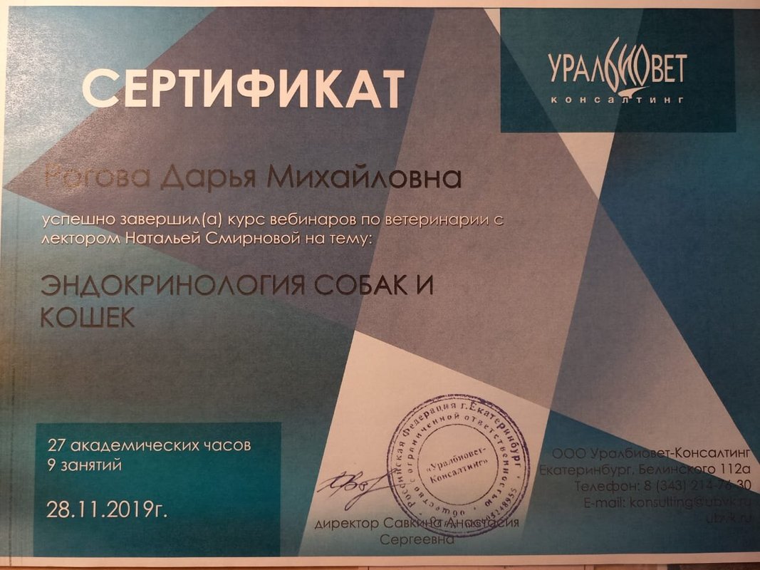 Документ или сертификат