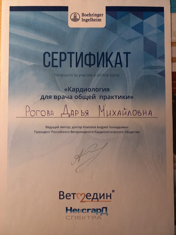Документ или сертификат