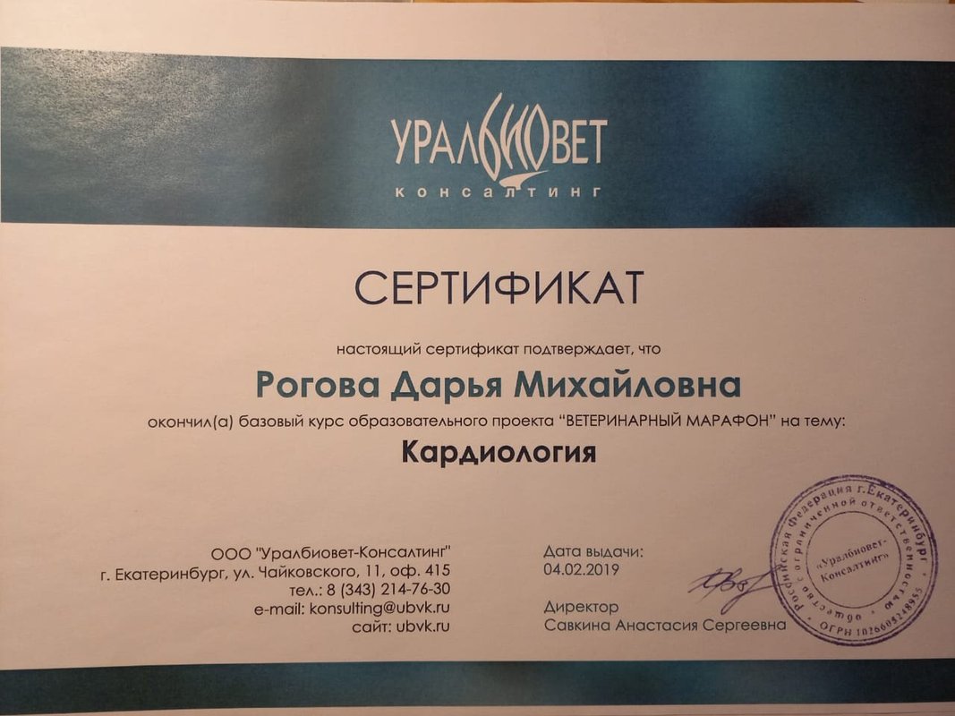 Документ или сертификат