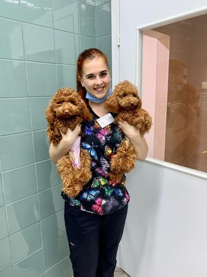 Фото врача Никифорова Евгения Михайловна