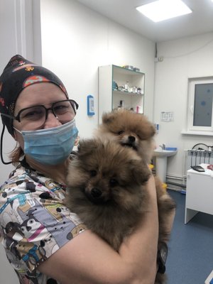 Фото врача Сороченко Анастасия Вадимовна