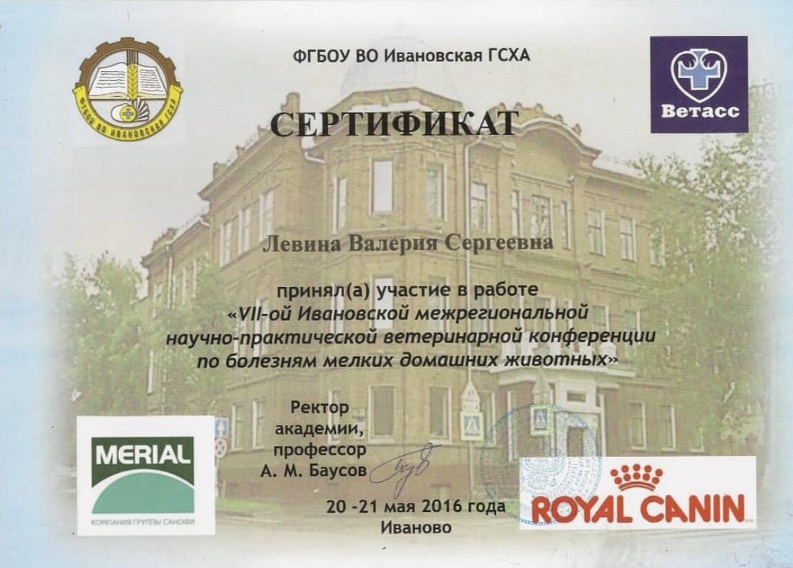 Документ или сертификат