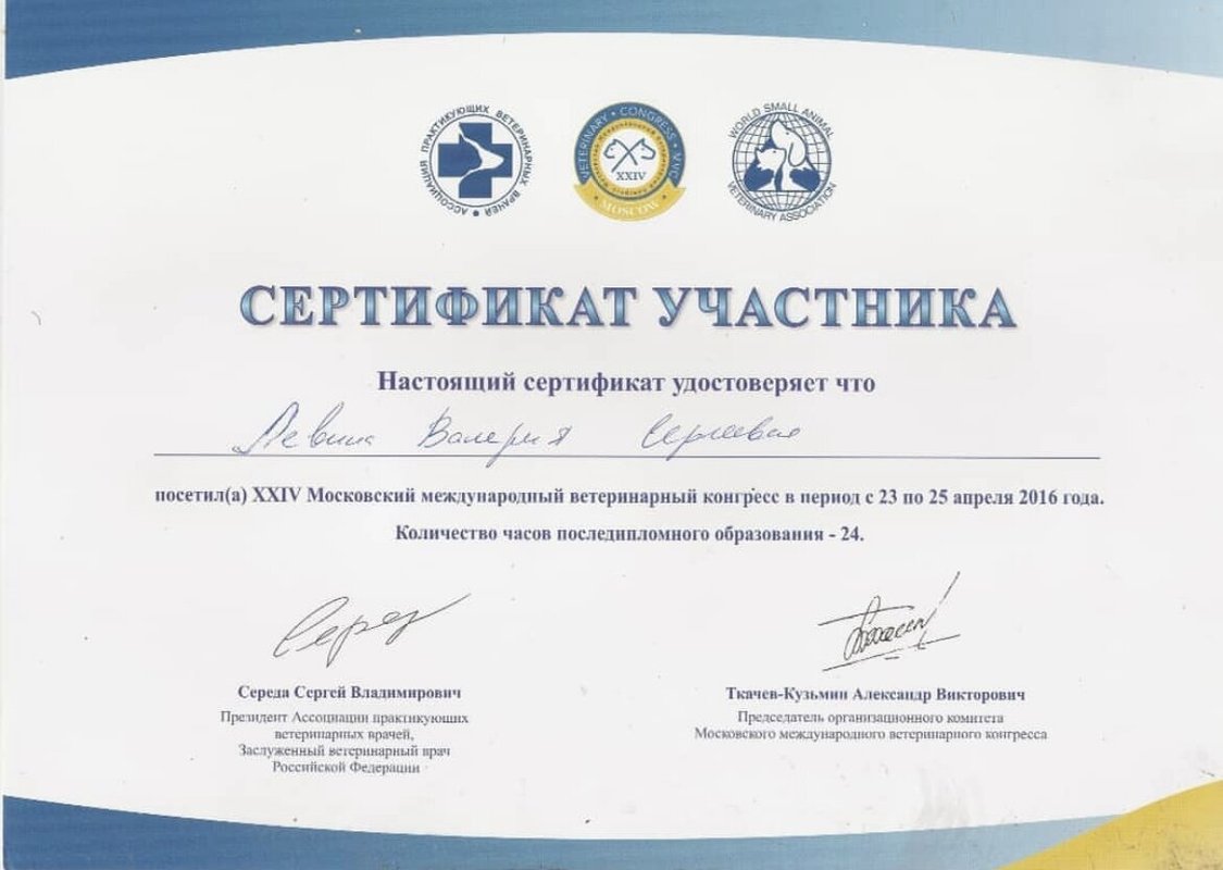 Документ или сертификат