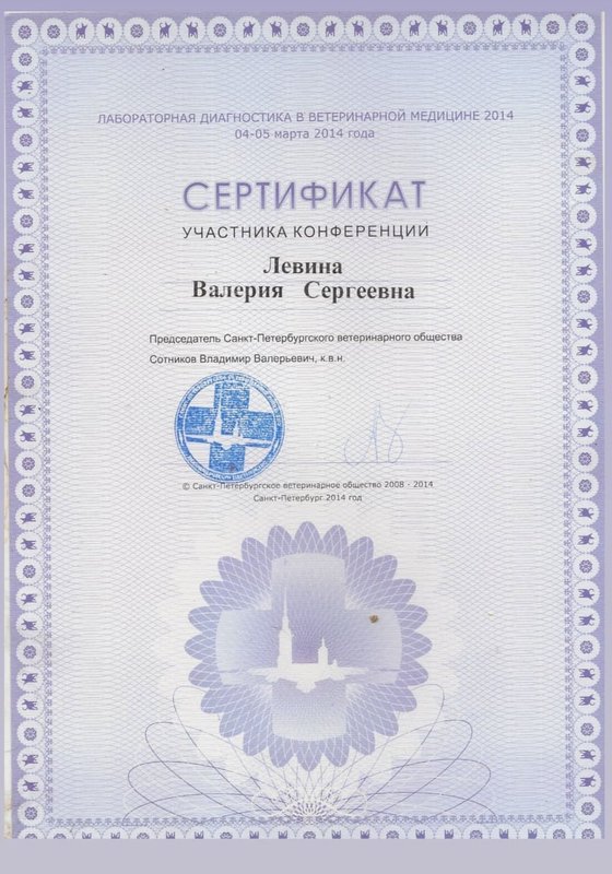 Документ или сертификат