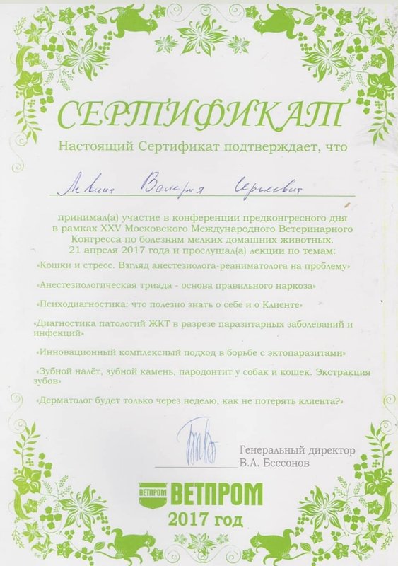 Документ или сертификат