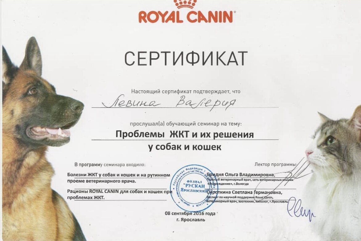 Документ или сертификат