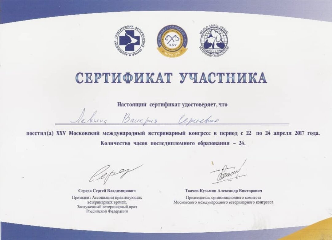 Документ или сертификат