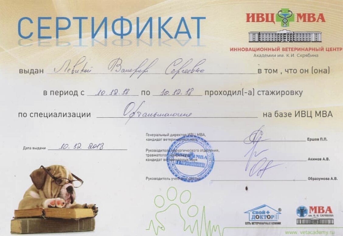 Документ или сертификат