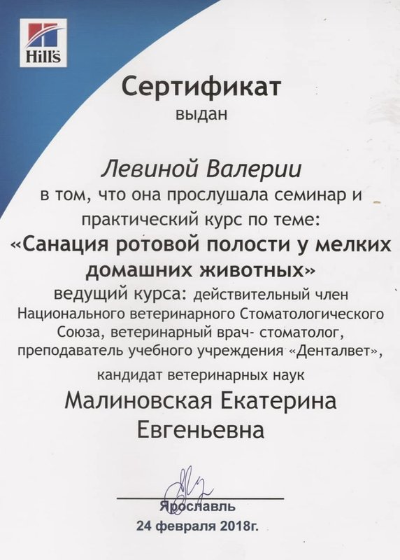 Документ или сертификат