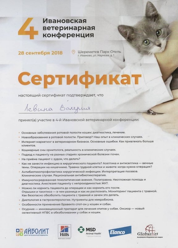 Документ или сертификат