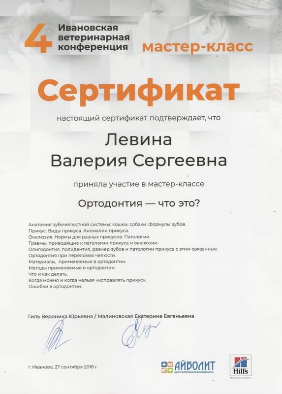 Документ или сертификат