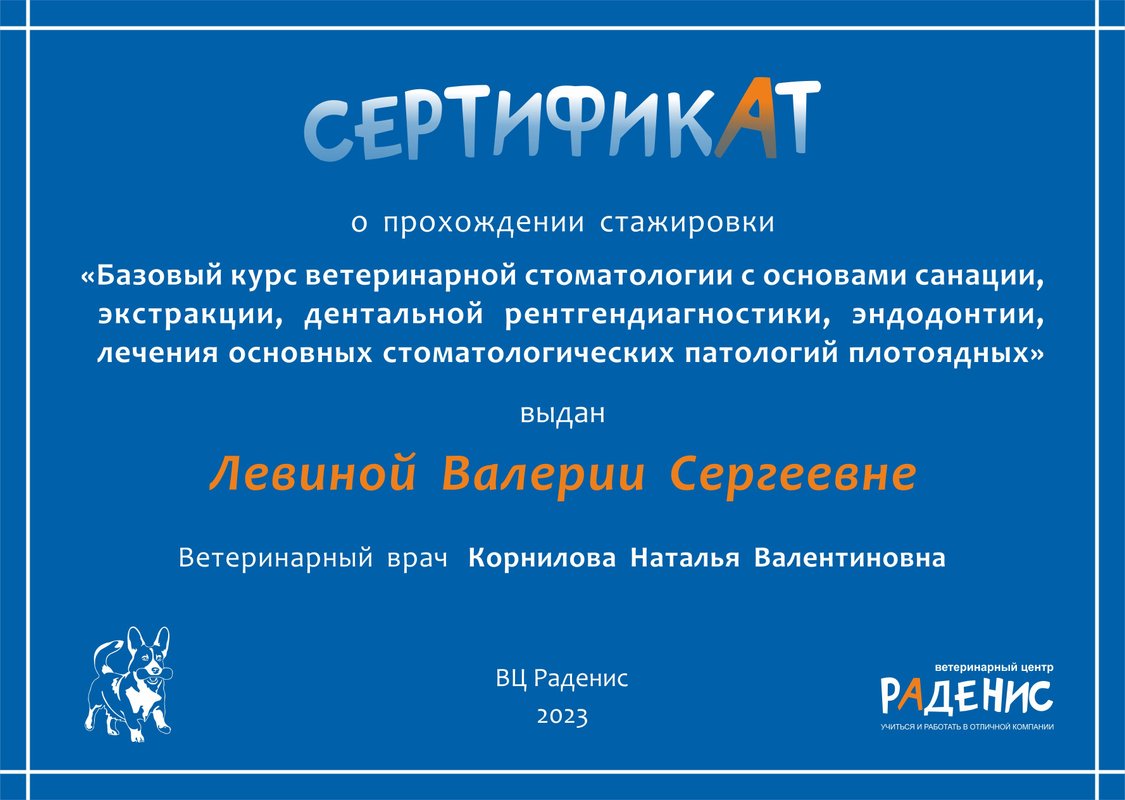 Документ или сертификат
