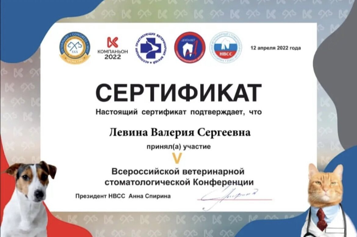 Документ или сертификат
