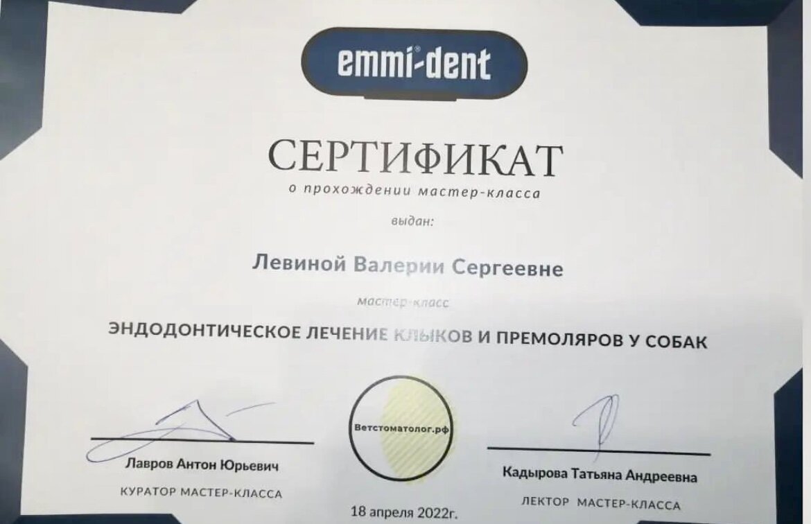 Документ или сертификат