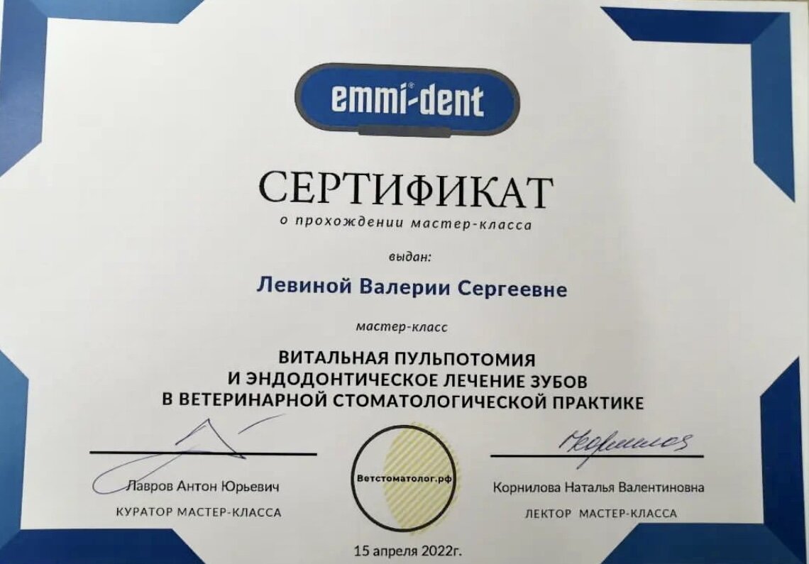 Документ или сертификат