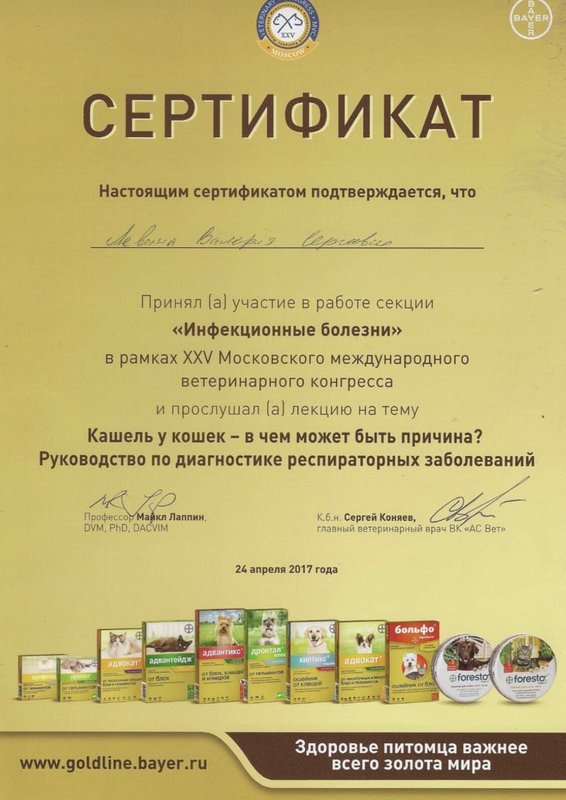 Документ или сертификат
