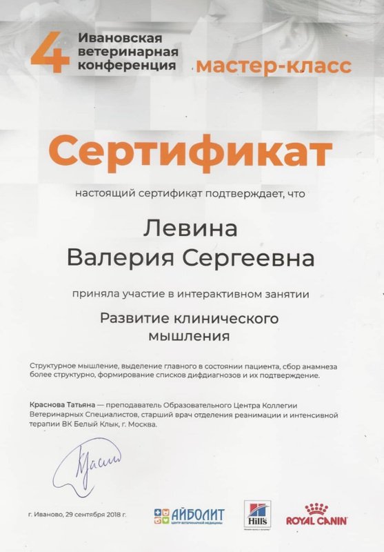 Документ или сертификат
