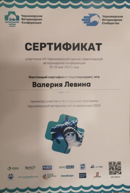 Документ или сертификат