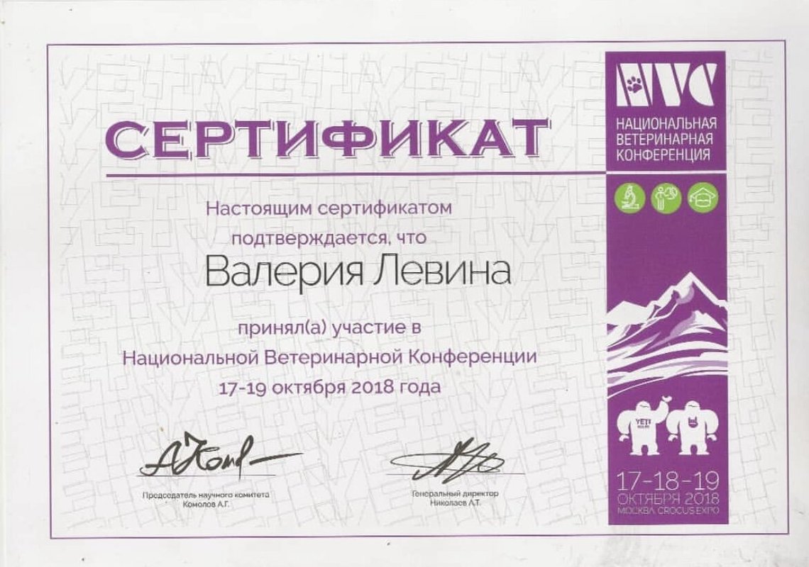 Документ или сертификат