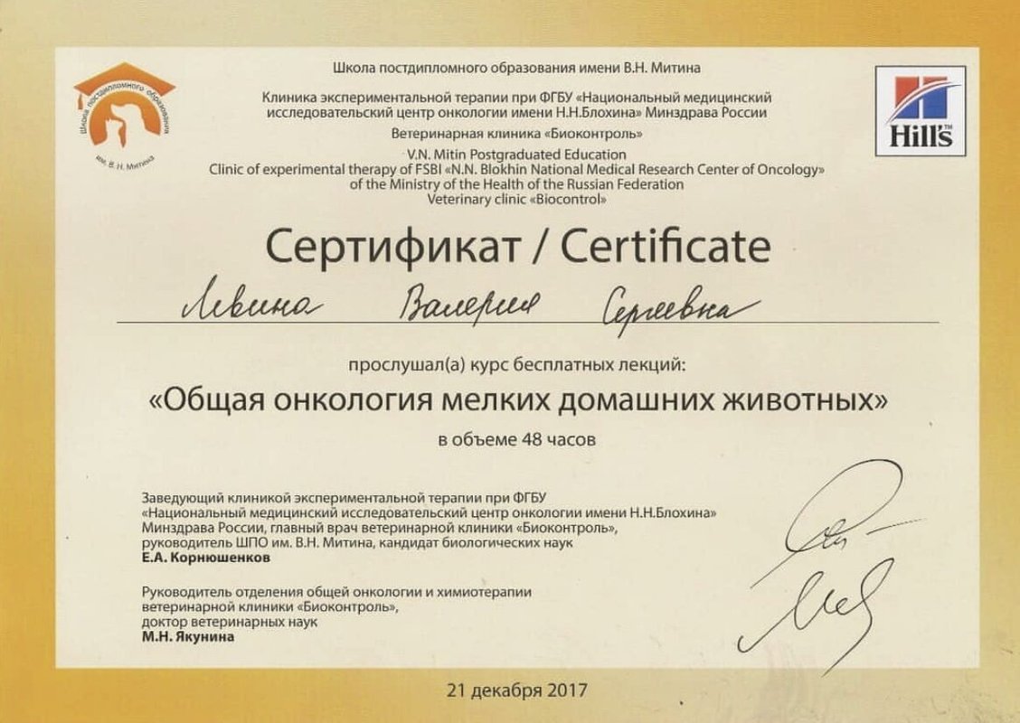 Документ или сертификат