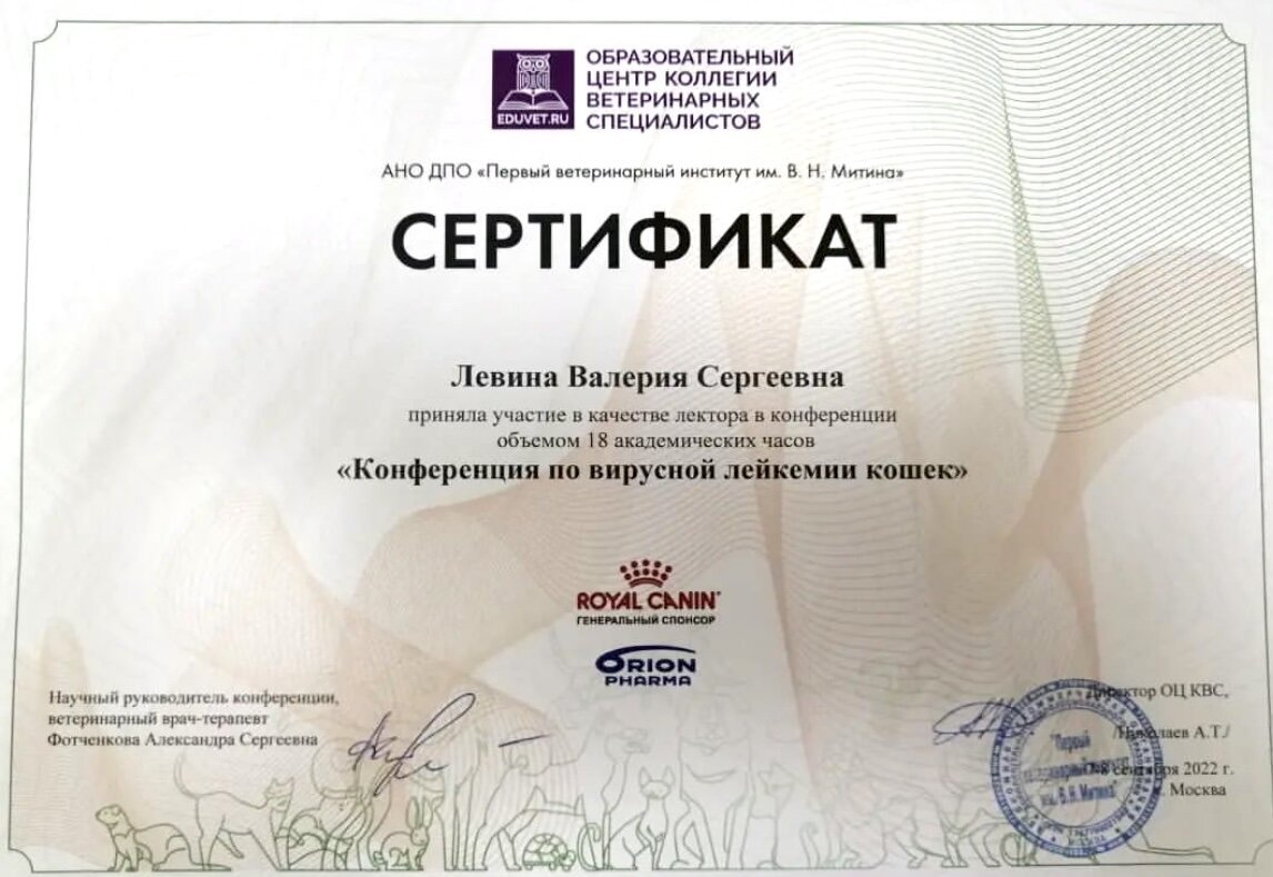 Документ или сертификат