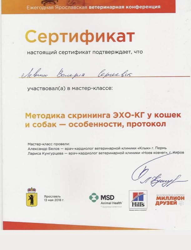 Документ или сертификат
